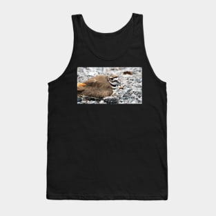 Killdeer Bird Guarding Her Nest Tank Top